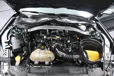 2019 Ford Mustang Bullitt