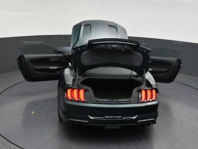 2019 Ford Mustang Bullitt