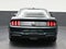2019 Ford Mustang Bullitt
