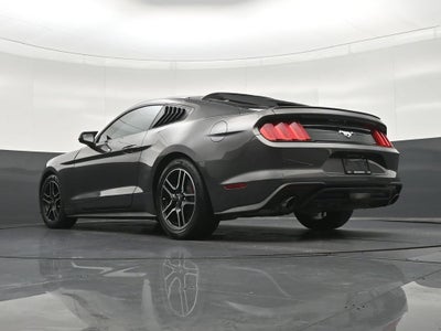 2020 Ford Mustang EcoBoost Fastback
