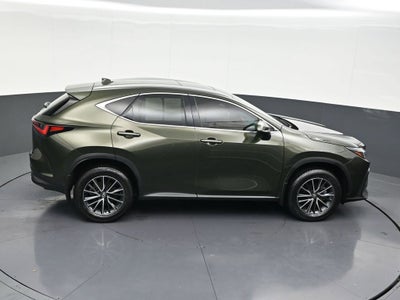 2024 Lexus NX NX 250