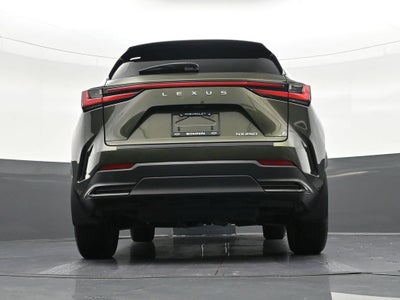 2024 Lexus NX NX 250