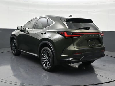 2024 Lexus NX NX 250