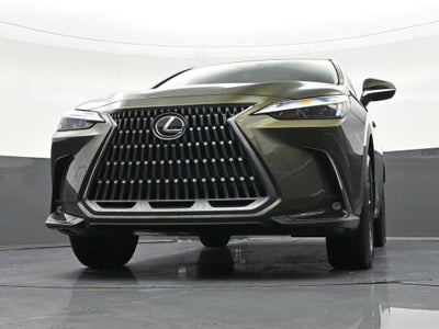 2024 Lexus NX NX 250