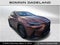 2025 Lexus NX NX 250