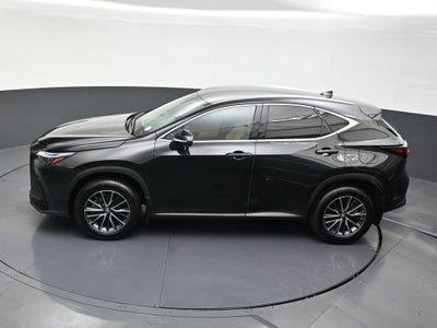 2025 Lexus NX NX 250