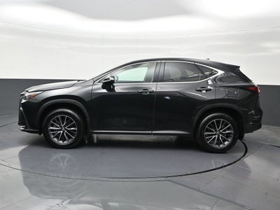 2025 Lexus NX NX 250