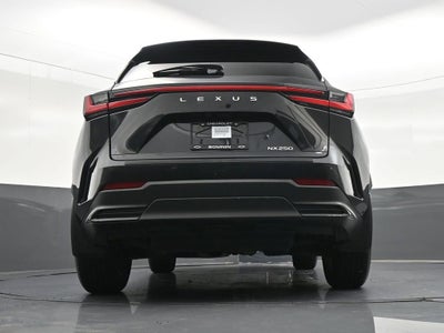 2025 Lexus NX NX 250