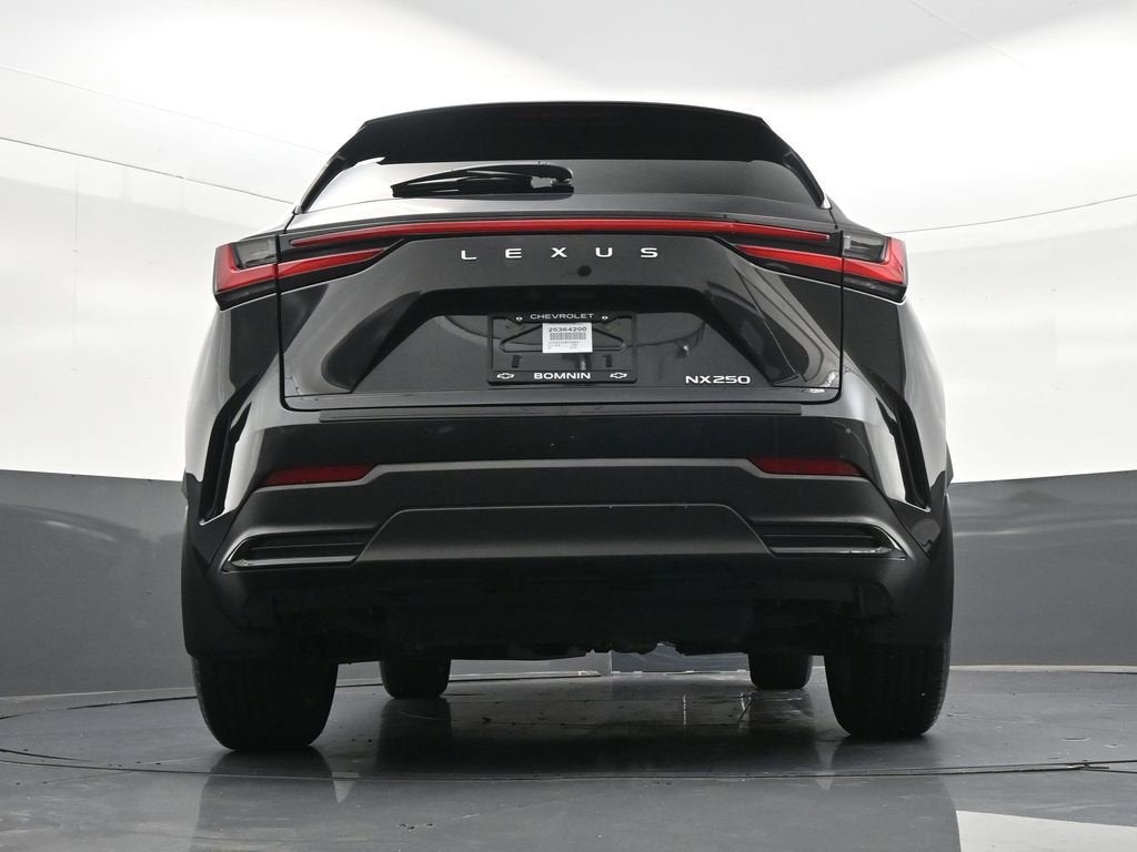 2025 Lexus NX NX 250