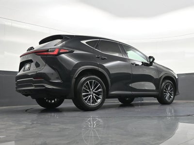 2025 Lexus NX NX 250