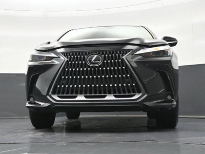 2025 Lexus NX NX 250