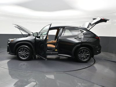 2025 Lexus NX NX 250
