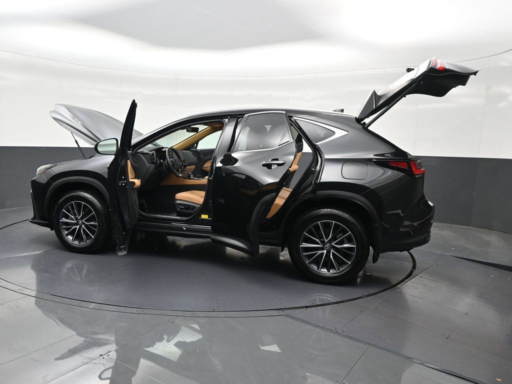 2025 Lexus NX NX 250