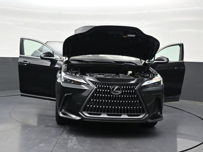 2025 Lexus NX NX 250