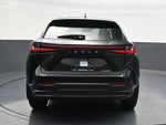 2025 Lexus NX NX 250