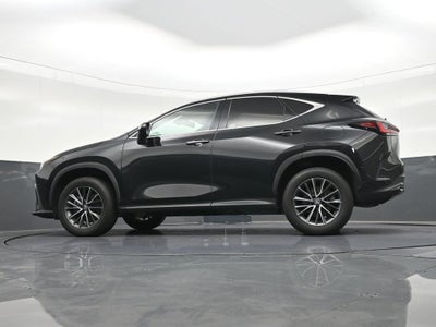 2023 Lexus NX NX 250