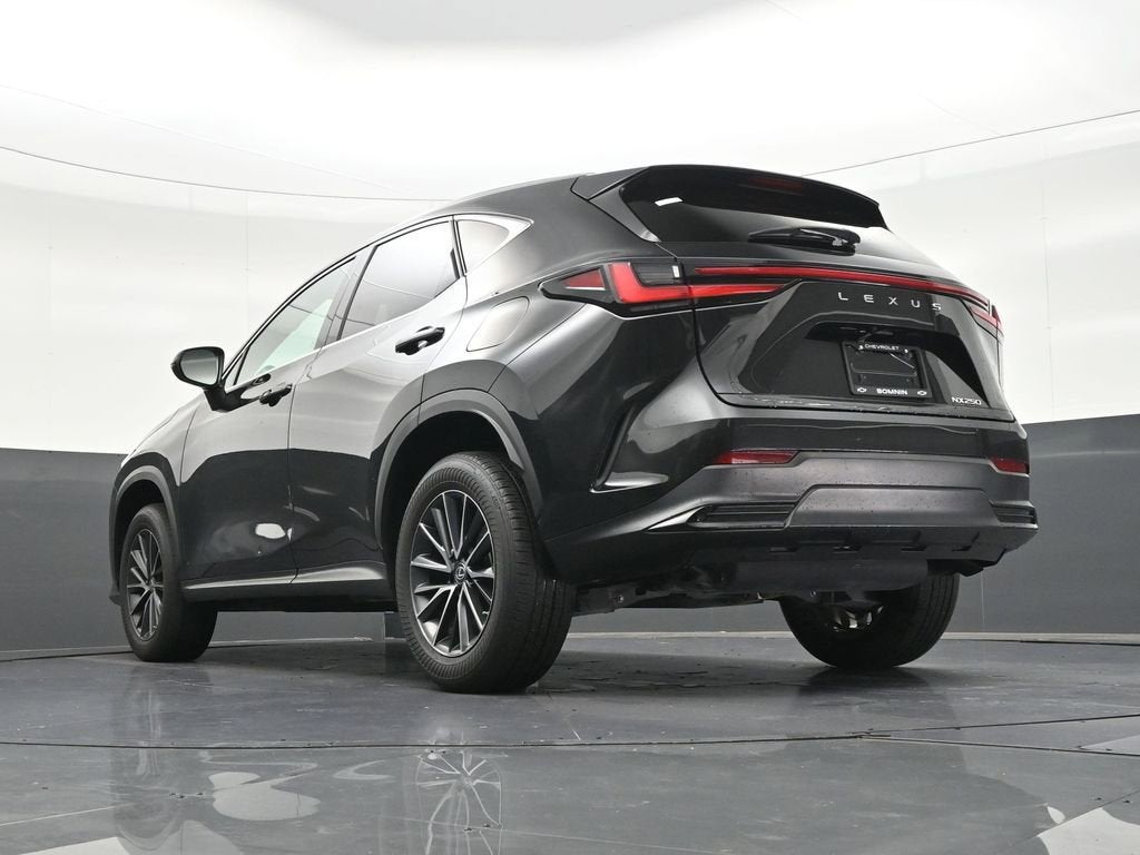 2023 Lexus NX NX 250