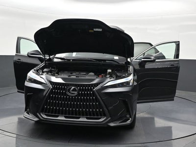2023 Lexus NX NX 250