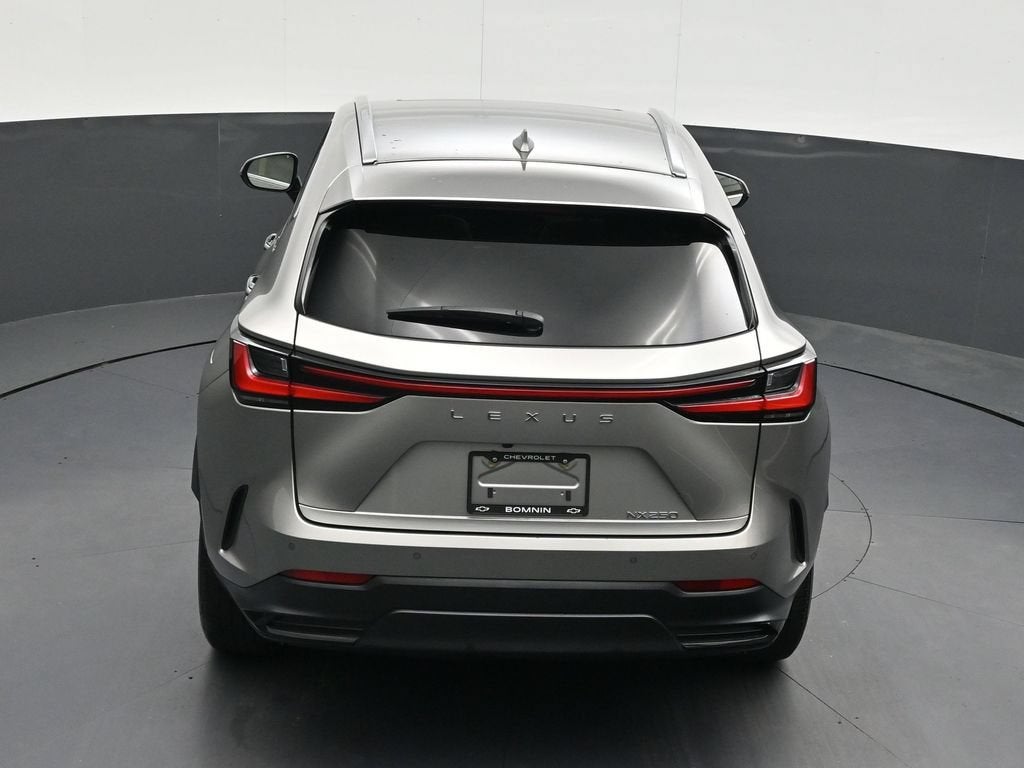 2024 Lexus NX 250 Premium