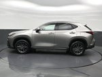 2024 Lexus NX 250 Premium