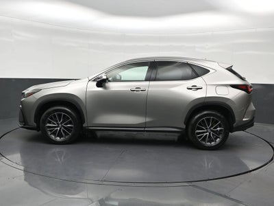 2024 Lexus NX 250 Premium