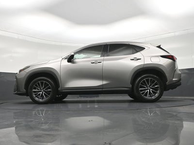 2024 Lexus NX 250 Premium