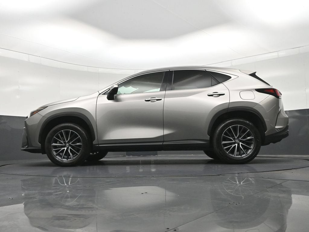 2024 Lexus NX 250 Premium