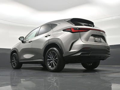 2024 Lexus NX 250 Premium