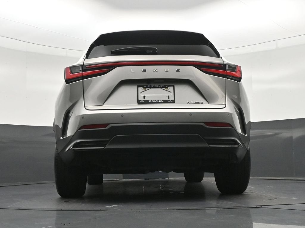 2024 Lexus NX 250 Premium