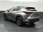 2024 Lexus NX 250 Premium