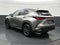 2024 Lexus NX 250 Premium