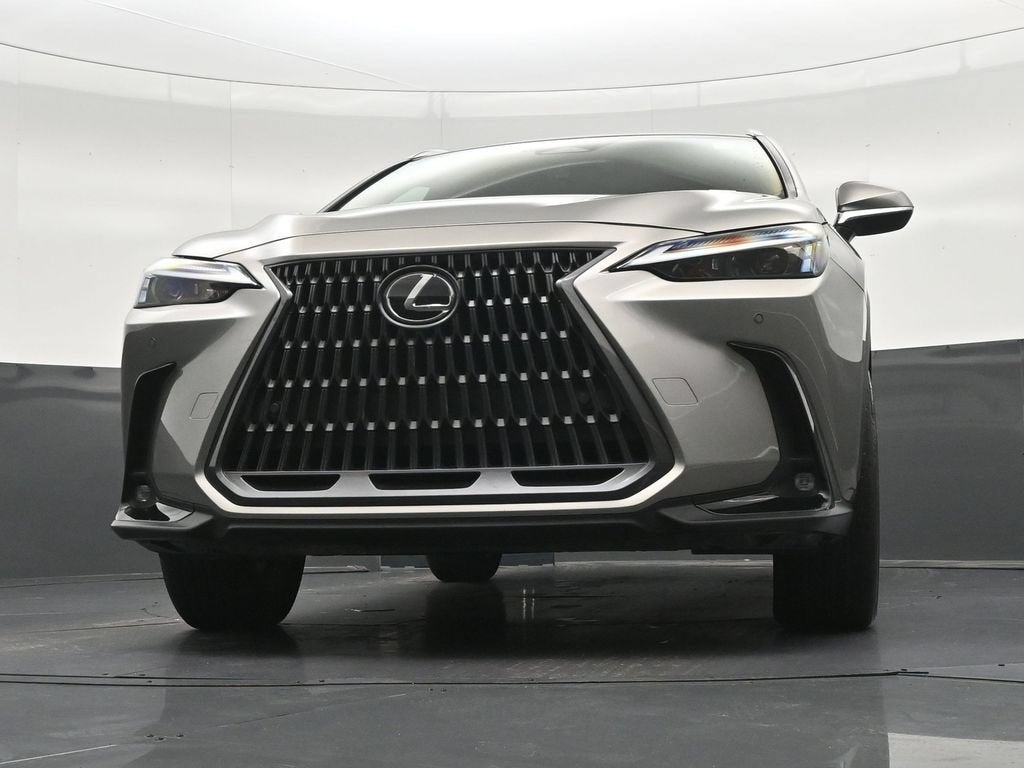 2024 Lexus NX 250 Premium