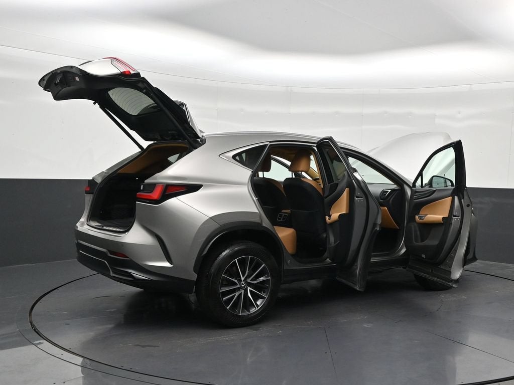 2024 Lexus NX 250 Premium