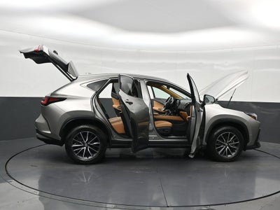 2024 Lexus NX 250 Premium