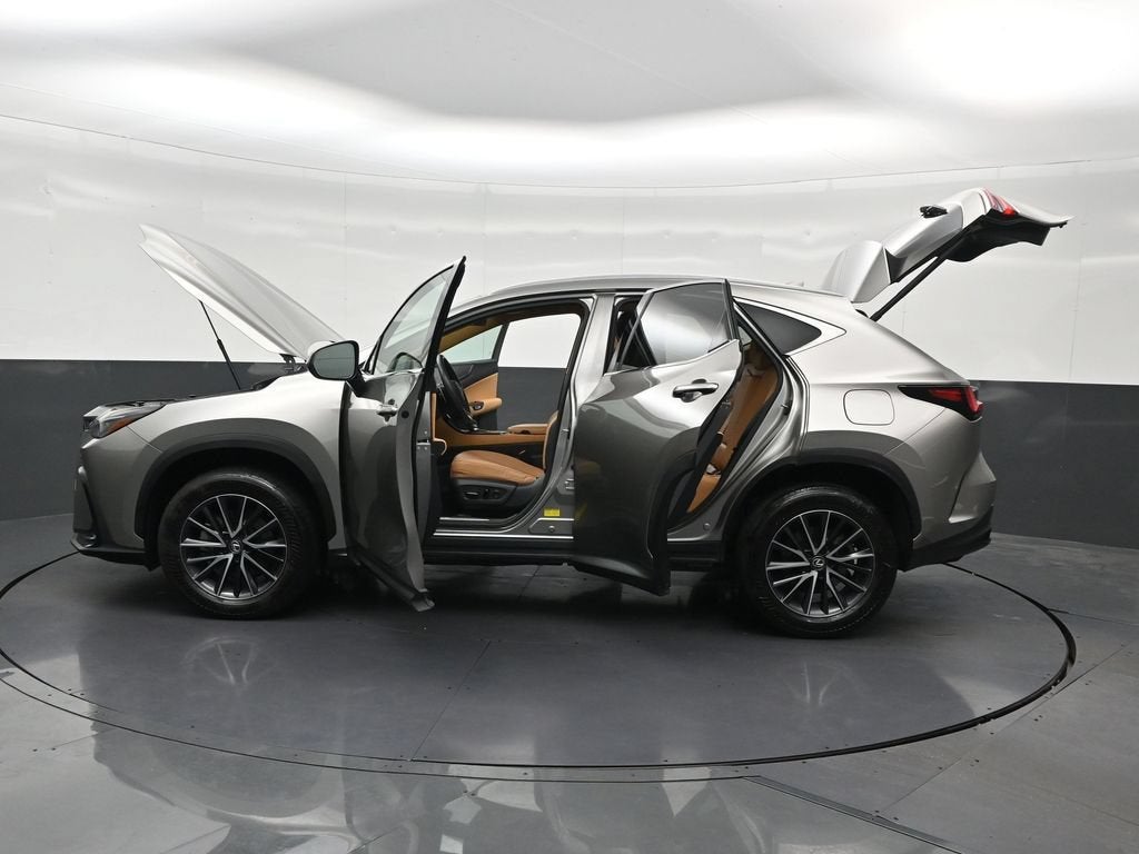 2024 Lexus NX 250 Premium