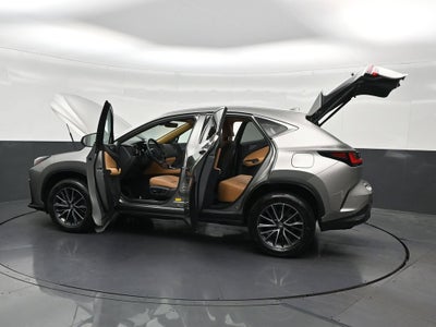 2024 Lexus NX 250 Premium