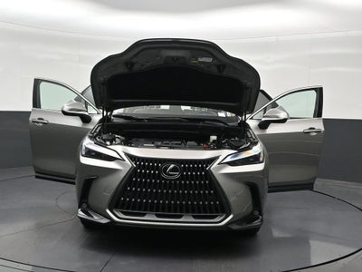2024 Lexus NX 250 Premium