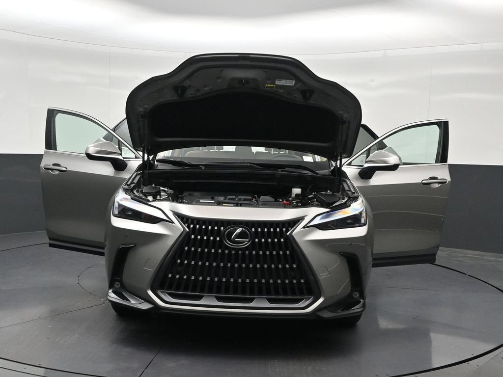 2024 Lexus NX 250 Premium