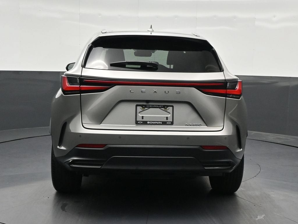 2024 Lexus NX 250 Premium