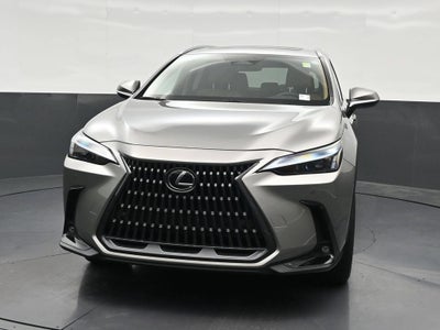 2024 Lexus NX 250 Premium