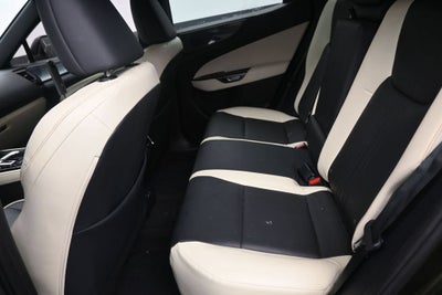 2024 Lexus NX 250 Premium