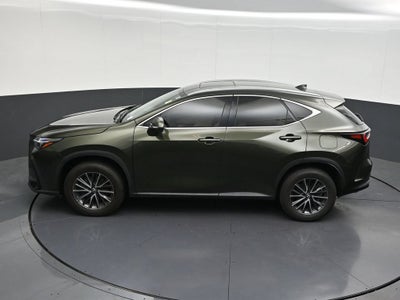 2024 Lexus NX 250 Premium