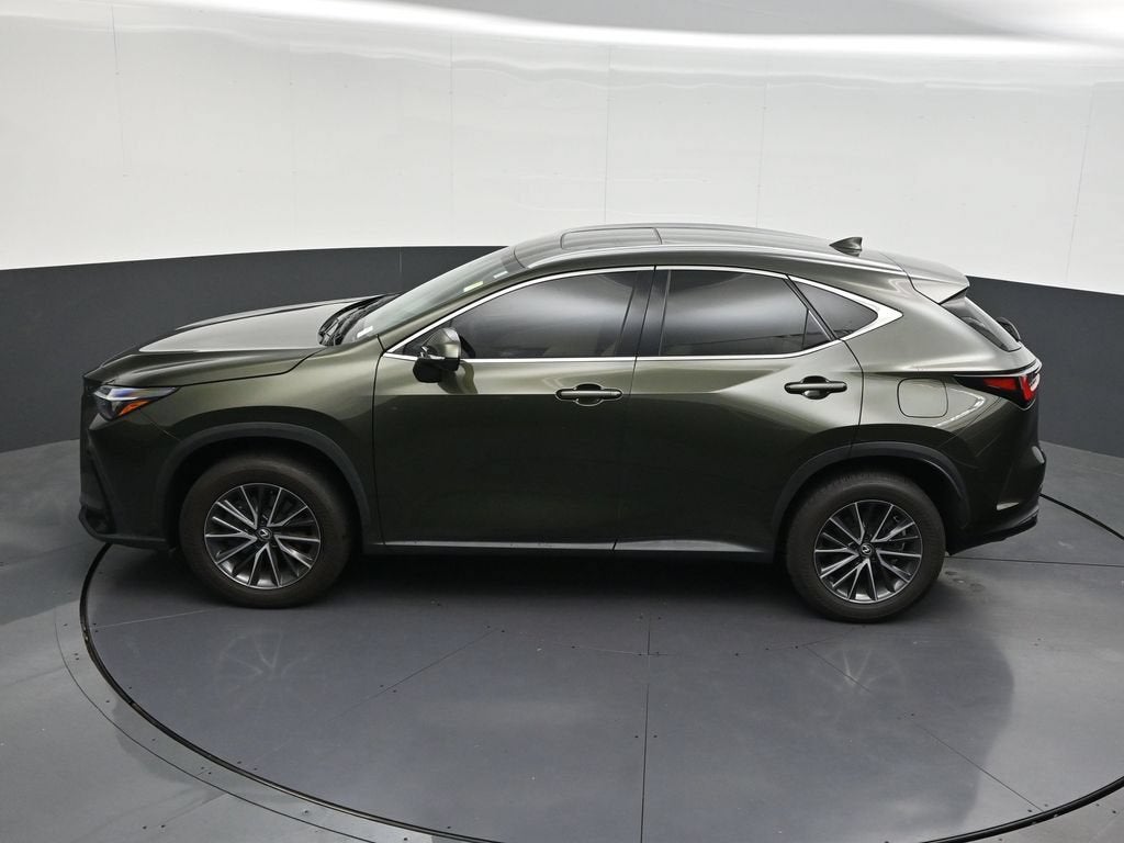 2024 Lexus NX 250 Premium