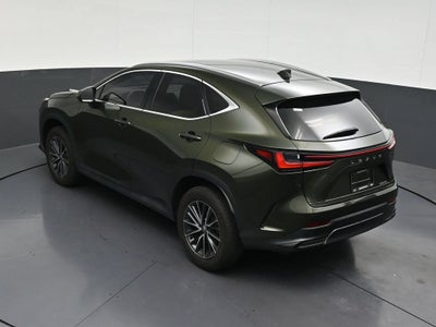 2024 Lexus NX 250 Premium