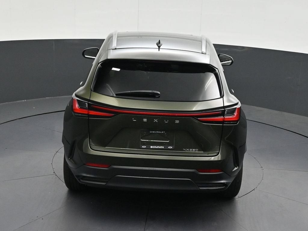 2024 Lexus NX 250 Premium