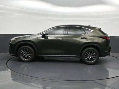 2024 Lexus NX 250 Premium