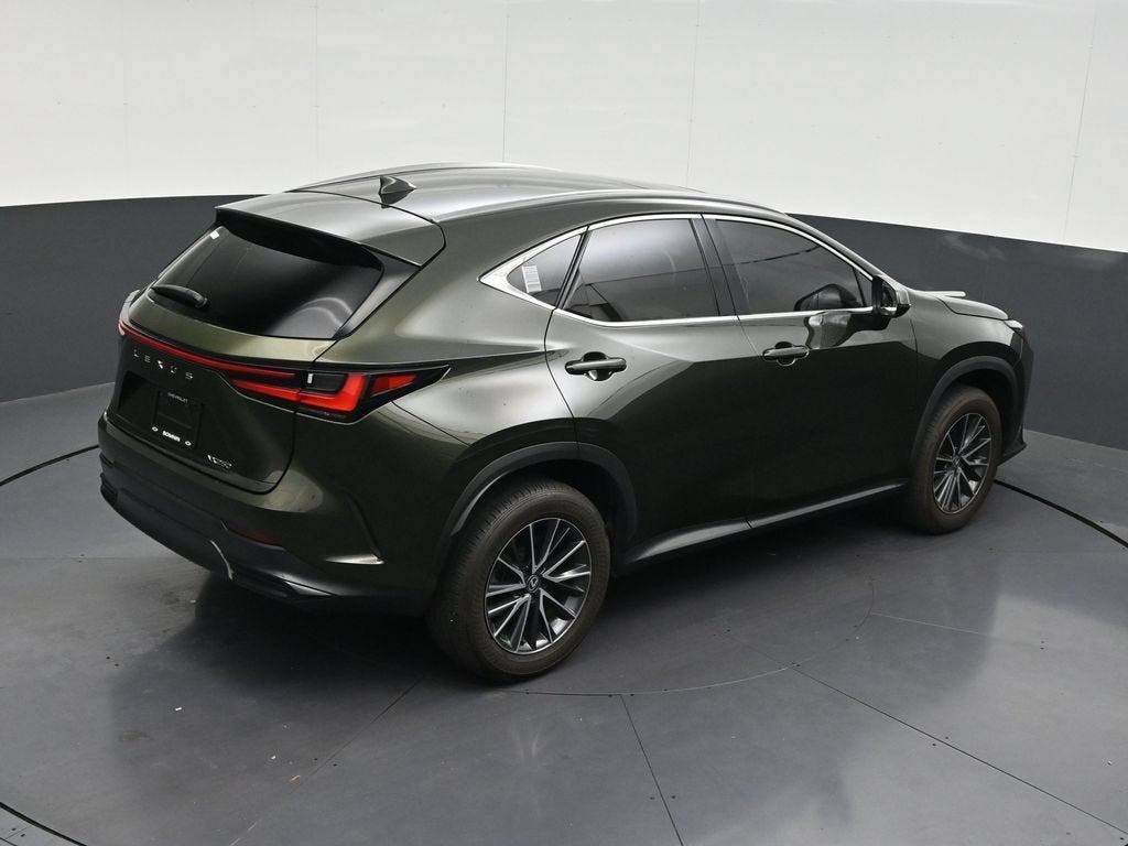 2024 Lexus NX 250 Premium