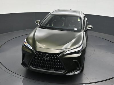 2024 Lexus NX 250 Premium