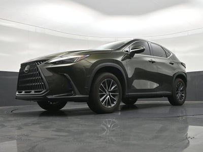 2024 Lexus NX 250 Premium