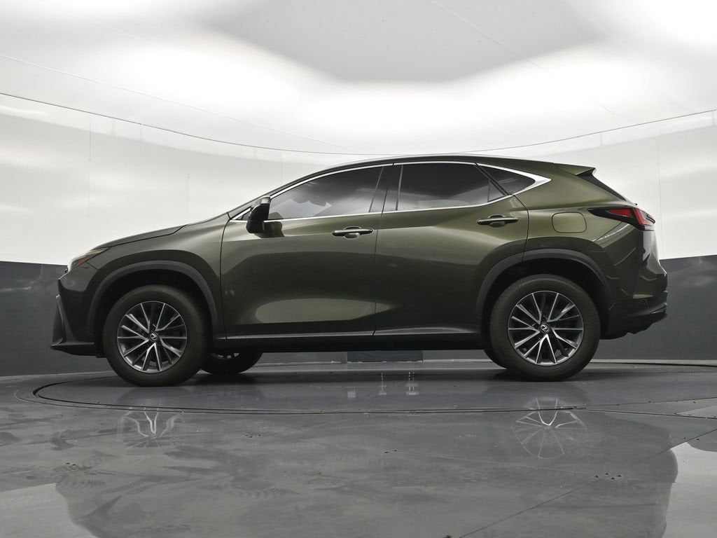 2024 Lexus NX 250 Premium